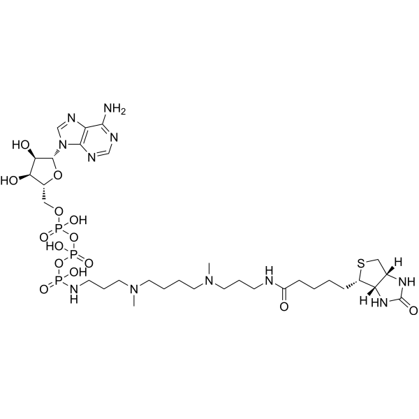 ATP-polyamine-biotin Chemical Structure