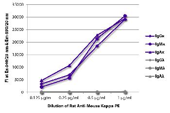 Rat Anti-Mouse Kappa-PE