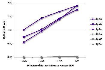 Rat Anti-Mouse Kappa-Biotin Conjugated