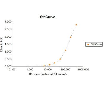 Enzyme-linked Immunoabsorbent Assay