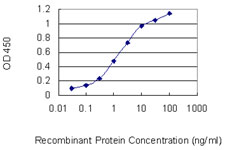 Sandwich ELISA (Recombinant protein)