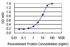 Sandwich ELISA (Recombinant protein)