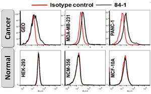 Flow Cytometry