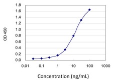 Sandwich ELISA (Recombinant protein)