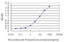 Sandwich ELISA (Recombinant protein)