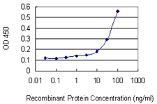 Sandwich ELISA (Recombinant protein)