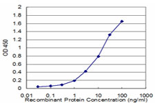 Sandwich ELISA (Recombinant protein)