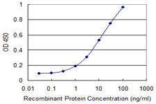 Sandwich ELISA (Recombinant protein)