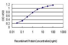 Sandwich ELISA (Recombinant protein)