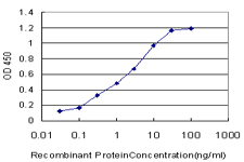 Sandwich ELISA (Recombinant protein)