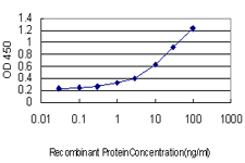 Sandwich ELISA (Recombinant protein)