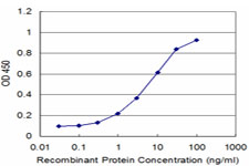 Sandwich ELISA (Recombinant protein)