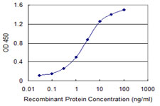 Sandwich ELISA (Recombinant protein)