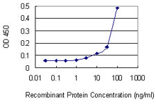 Sandwich ELISA (Recombinant protein)