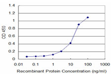 Sandwich ELISA (Recombinant protein)