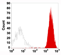 Flow Cytometry