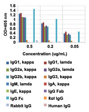 Enzyme-linked Immunoabsorbent Assay