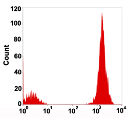 Flow Cytometry