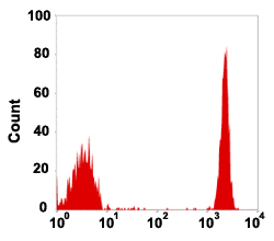 Flow Cytometry