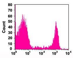 Flow Cytometry