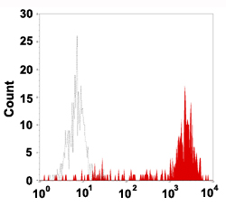 Flow Cytometry