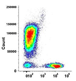 Flow Cytometry