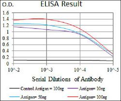 Enzyme-linked Immunoabsorbent Assay