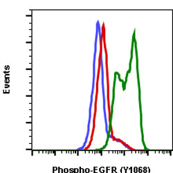 Flow Cytometry