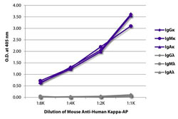 Enzyme-linked Immunoabsorbent Assay