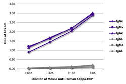 Enzyme-linked Immunoabsorbent Assay