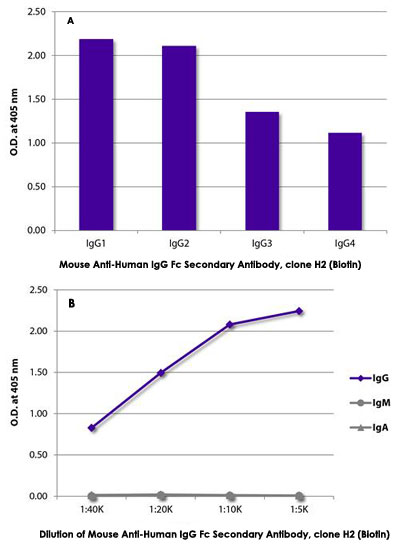 Enzyme-linked Immunoabsorbent Assay