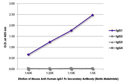 Enzyme-linked Immunoabsorbent Assay