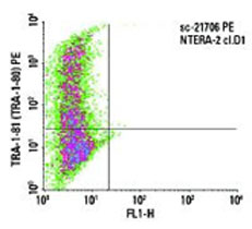 Flow Cytometry