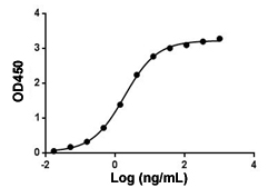 Enzyme-linked Immunoabsorbent Assay