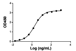 Enzyme-linked Immunoabsorbent Assay