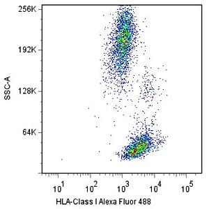 Flow Cytometry