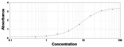 Enzyme-linked Immunoabsorbent Assay