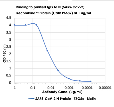 Enzyme-linked Immunoabsorbent Assay