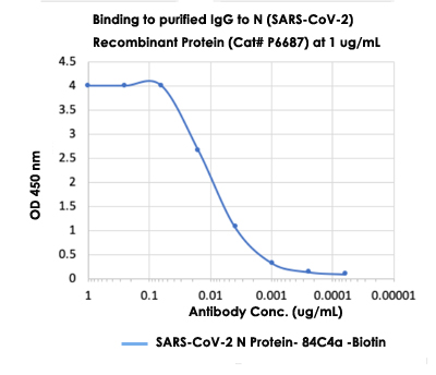 Enzyme-linked Immunoabsorbent Assay