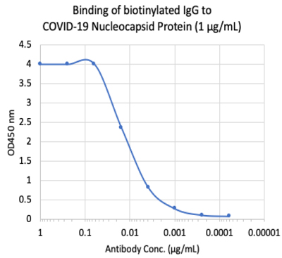 Enzyme-linked Immunoabsorbent Assay