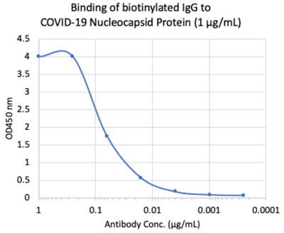 Enzyme-linked Immunoabsorbent Assay