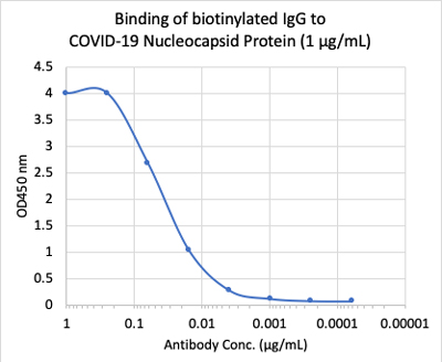 Enzyme-linked Immunoabsorbent Assay