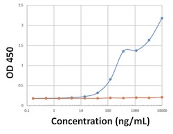 Enzyme-linked Immunoabsorbent Assay