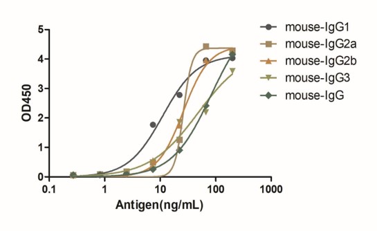 Enzyme-linked Immunoabsorbent Assay