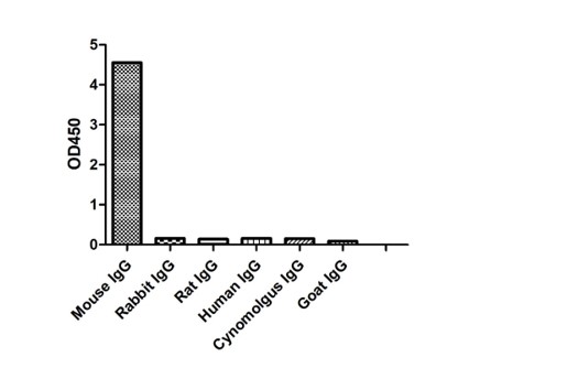 Enzyme-linked Immunoabsorbent Assay