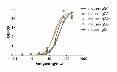 Enzyme-linked Immunoabsorbent Assay