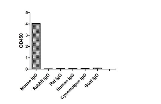 Enzyme-linked Immunoabsorbent Assay