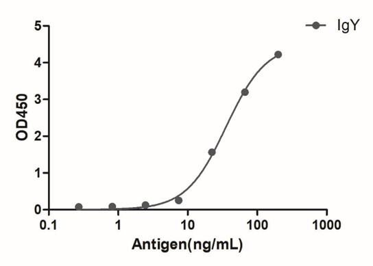 Enzyme-linked Immunoabsorbent Assay