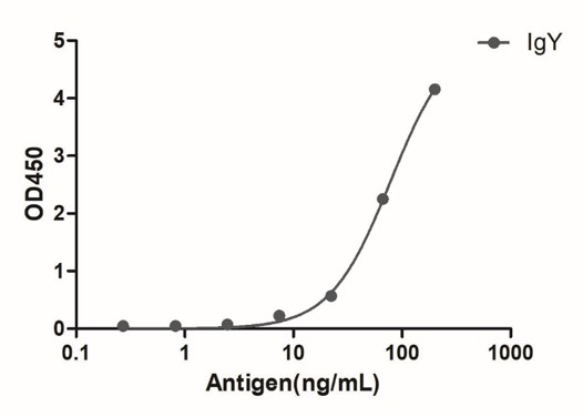 Enzyme-linked Immunoabsorbent Assay