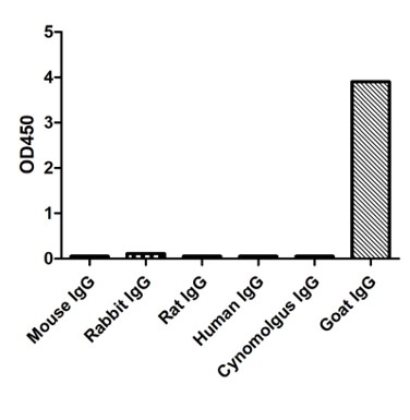 Enzyme-linked Immunoabsorbent Assay